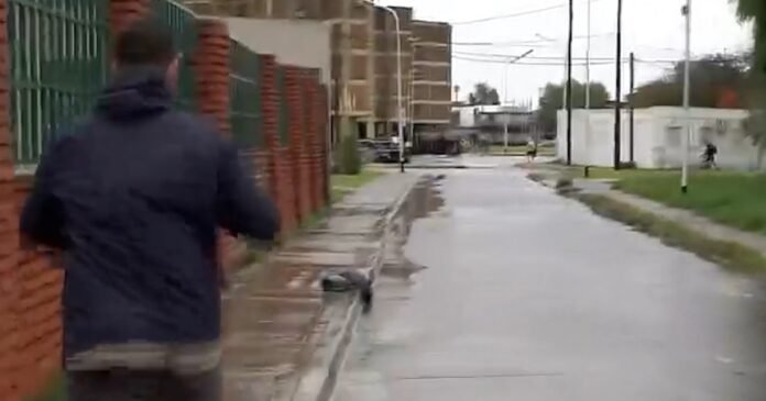 Imagen de la noticia