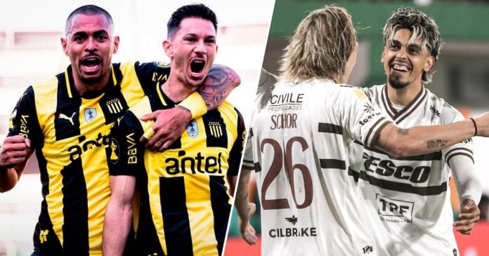 Imagen de la noticia