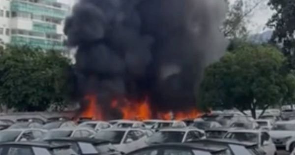 Imagen de la noticia