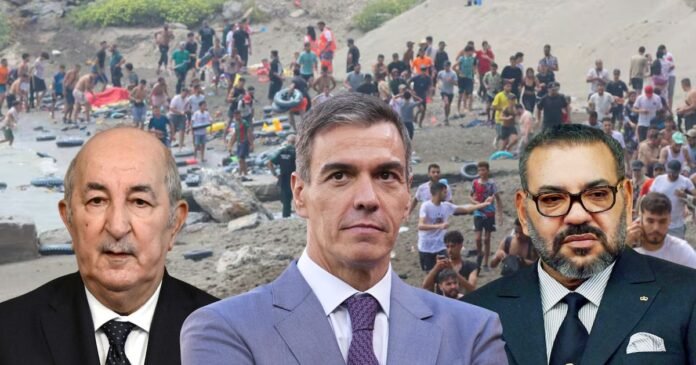 Imagen de la noticia